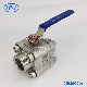  800lb F304/F304L F316/F316L NPT Screw End Forged 3PC Stainless Steel Ball Valve