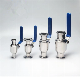  Sanitary SS304 and SS316L Stainless Steel Ball Valve Professional Manufacturer