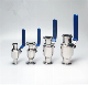 Sanitary SS304 and SS316L Stainless Steel Ball Valve Professional Manufacturer