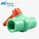  Pipe Fitting ASTM Pntek PPR UPVC PVC Compact Ball Valve