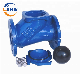  API598 Ductile Iron EPDM Seal Rubber Ball Lift Non Return Check Valve Quick Close