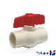  Top Supplier ASTM D2846 Plastic PVC Ball Valve Hot Water CPVC Valve