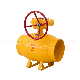  Mini Fashion Design Cast Steel Flanged Manual Ball Valve Suitable for Oil and Natural Gas