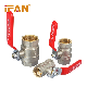 Ifan High Quality 81052 Cw617n Water Supply Female/Male Thread Stop Gate Float Radiator Angle Check Brass Ball Valve