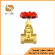 Water Brass Gate Valve Forged Flange End 125lb OS & Y Gate Valve