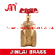  Brass Gate Valve-Pn20 Standard Type (JL-218)