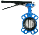 Chinese Supplier Wholesale Butterfly Valve Low Temperature Soft Seal Gate Valve