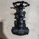  DN20 Forged Steel A105 Bw End Gate Valve 1500lb