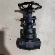 DN20 Forged Steel A105 Bw End Gate Valve 1500lb