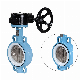 Ci, Di, Cast Iron Wafer Type Butterfly Valve Pn16/Pn10 Class150 Class 300