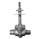  Manual Extension Rod Carbon Steel Cryogenic Gate Valve