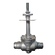 Manual Extension Rod Carbon Steel Cryogenic Gate Valve