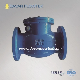  Cast Ductile Iron Swing Check Valve Dvcv-004