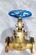  Bronze Globe Valve with API Standard