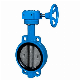  Seated Sluice Valve-Knife Type Gate Valves-Gate Valves