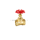  Brass Stop Globe Valve with Loose Joint Butterfly Handle
