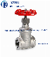 200wog Thread Stainless Steel Gate Valve SS304/SS316 NPT/Bsp