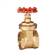 Manual Female Thread Water Forged 200 Wog Brass Gate Valve