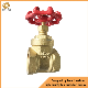 Gate Valve Inch Water Gas Knife Gate Valve Flanged No Rising Stem Water Valve Gas Solenoid Valves From China Manufactuer Bronze Cast Iron Brass for Water