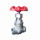 High Quality Manual Wheel Handle Threaded Type Stainless Steel Gate Valve