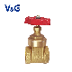 Female Thread and ISO228 Copper Brass Gate Valve (VG11.90011)