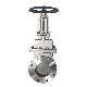 Bi Directional Cast Iron Knife Gate Valve Good Price and High Quality