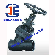  API/DIN/GOST Forged Steel Y Type Pressure Welded Industrial Thread Globe Valve with Actuator