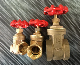  Brass Bronze Non-Rising Stem Female Thread Gate Valve