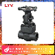 DN 15 to DN 50 Forged Steel A105 Socket Weld Flanged Gate Valve/Globe Valve/Check Valve