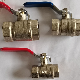  Pn25 Forged Cw617n Nickel Plating Brass Gas 2-PC Ball Valve with Nickle Plated Control Check Stainless Steel Threaded Bronze Mini Valve Importer in Delhi600wog