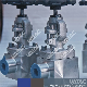 Vatac Forged Rising Stem Steel Socket Welded Gate Valve