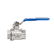 201/304/316 Stainless Steel Internal Thread 2PC Ball Valve