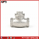  Threaded NPT 200wog Casting Swing Check Valve