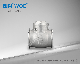 3/4" Stainless Steel CF8m 316 Threaded Swing Check Valve with Quality Assurance