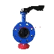  Short Type U Shape Double Flange Butterfly Valve