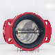 DIN ANSI Standard Rubber Coated Ductile Iron Check Valve