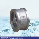  Shortest Shipping  Wafer Forged Steel  Lift Check Valve