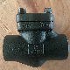  Cast Iron F304 Stainless Steel P58 Check Valve 1inch Forged Check Valve Swing Type Flanged Non Return Valve