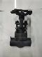  Flanged Forged Steel Check Globe Gate Valve