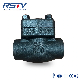 Forged Steel A105 800lb Thread / Sw Lift Type Check Valve