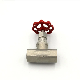  Screw End Stainless Steel 304 201 316 Control Screw End Cut off Globe Valve
