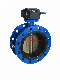 Double Flange Butterfly Valve with Vulcanized Seat for Marine