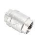 High Quality Best Stainless Steel 304 Non Return Check Valve