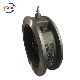  DIN DN300 GS-C25 Lift Single Plate Wafer Swing Check Valve