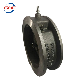 DIN DN300 GS-C25 Lift Single Plate Wafer Swing Check Valve