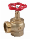 Brass Fire Landing Hydrant Valve for Sale