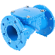 API 6D Industrial Flange or Wafer Cast Iron or Forged Stainless Steel Ball or Swing Check Valve