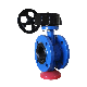  Double Flange Concentric Long Type Butterfly Valve-F4