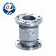  DIN/BS/JIS Stainless Steel Industrial Grade Vertical Check Valve with Flange