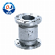 DIN/BS/JIS Stainless Steel Industrial Grade Vertical Check Valve with Flange